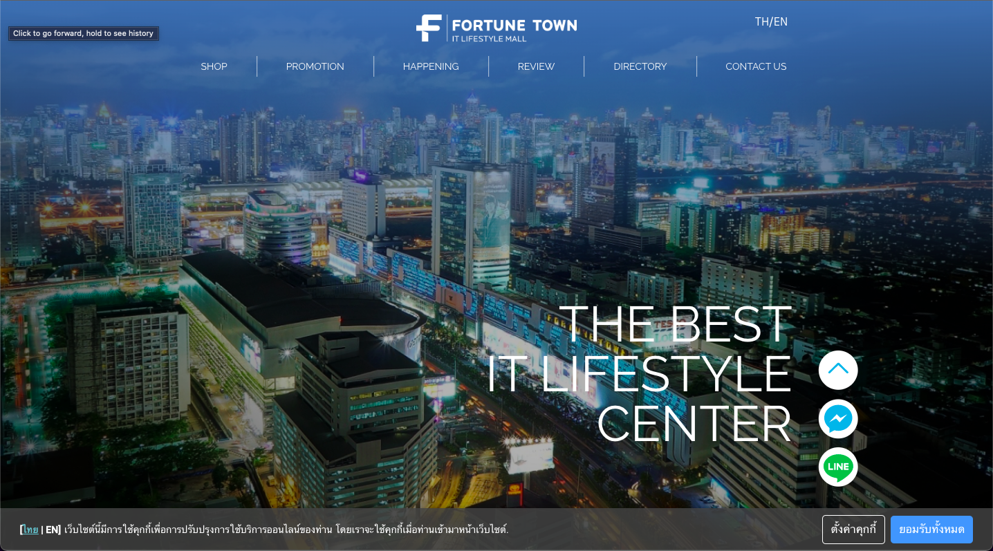 Fortune Town