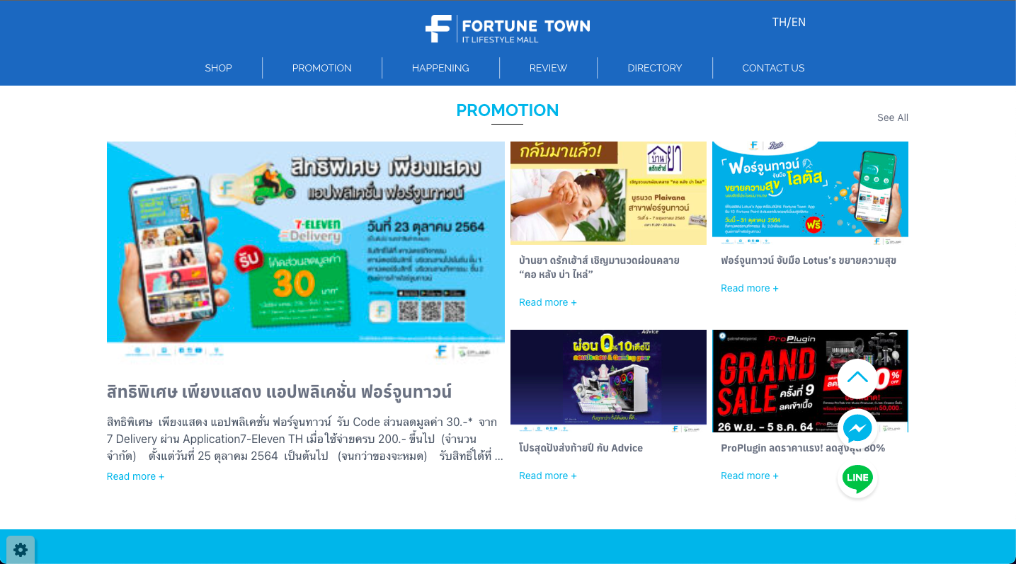 Fortune Town Website